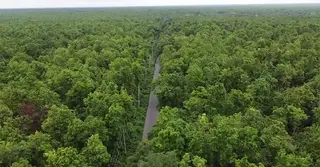 গাজীপুরে বনভূমির দখলবাজিতে অকার্যকর বন অধিদপ্তরের অভিযান